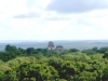 Vista desde el templo IV