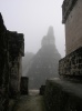 Niebla envuelve al Gran Jaguar en Tikal durante el amanecer