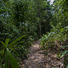 360> Selva de Petén en el Parque Nacional Tikal