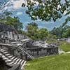360> Selva y Pirámides Mayas en la Acrópolis Central de Tikal