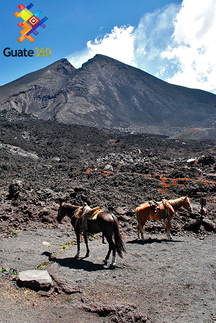 Escalar el Volcán de Pacaya a caballo
