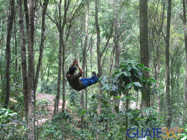 Volando en los columpios