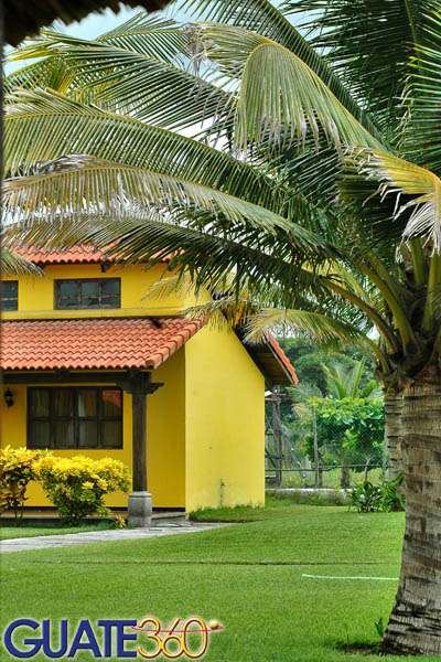 Habitaciones y vegetación