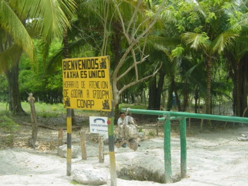 Ingreso a Yaxha en Petén, sitio arqueológico Maya