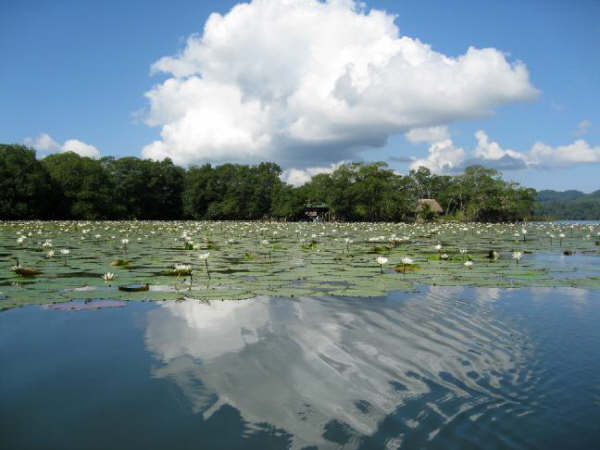 Laguna de las Flores en Izabal