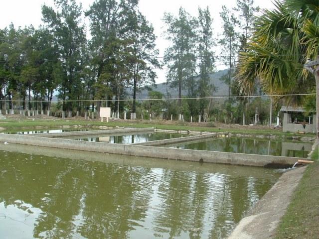 Estacion Piscicola, San Jeronimo, Baja Verapaz