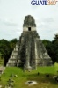 Foto de Tikal y El Gran Jaguar en la selva petenera.