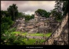 Tikal, Guatemala, cuna de la cultura maya