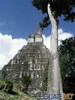 Foto de Tikal, Perfil del Gran Jaguar