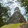360> El Gran Jaguar de Tikal visto desde atrás