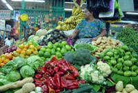 El Mercado Central