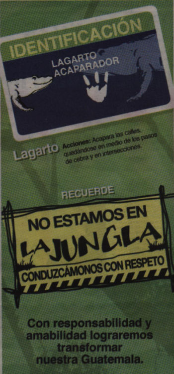 Lagarto Acaparador