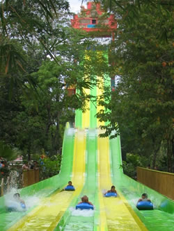 Nuevas atracciones en Xocomil