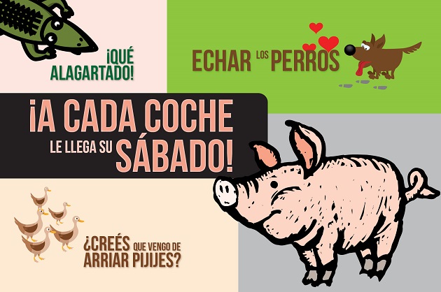 Chapinismos sobre animales