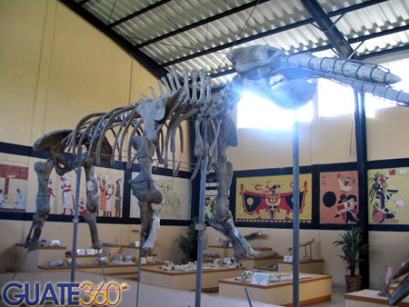 estanzuela07 estanzuela07